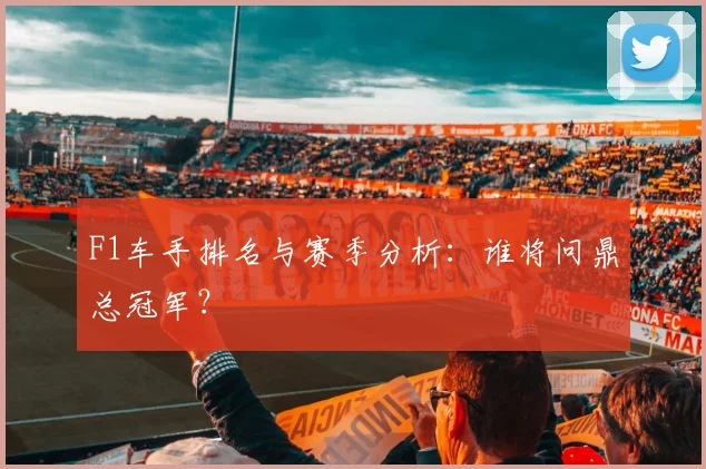 F1车手排名与赛季分析：谁将问鼎总冠军？